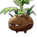 ブームフラワー