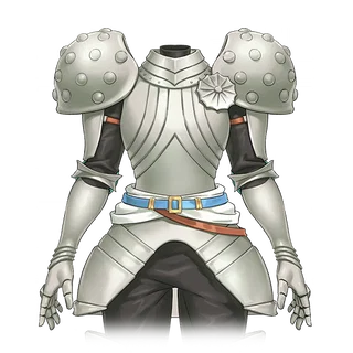 星型面頬（スターバイザー）の聖騎士