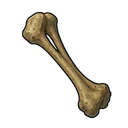 オオカミの骨片