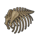 バイソンの骨片