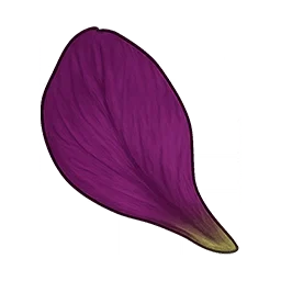 生き生きした花びら