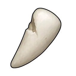 鈍いウサギの歯