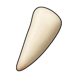 鋭いウサギの歯