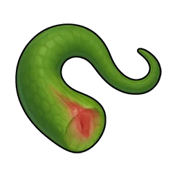 切り取られた小さな尻尾