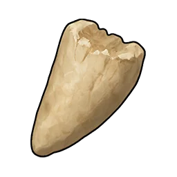 小さな幼竜の歯