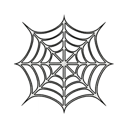 頑丈な蜘蛛の巣