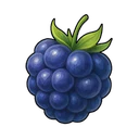 Jet-black Blackberry