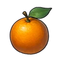 ミカン