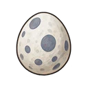 カモメの卵