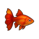 モミジグッピー