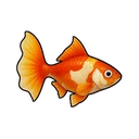 シルクグッピー