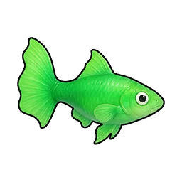 Emerald Guppy