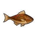 オオイワライギョ