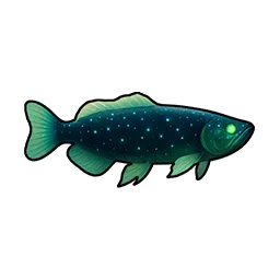 ヨゾラアロワナ