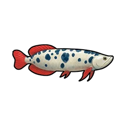 ブチシーラカンス