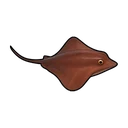 遊泳するヨゾラエイ