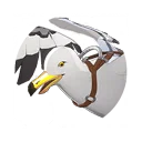 飼い慣らされたカモメ