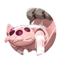 ペットスパイダー