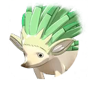 ビビリハリネズミ