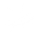 ピアシングスラッシュ