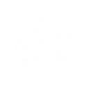 ライトニングストリーム