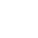 ライトニングドラゴンズラス