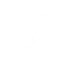 ライトニングディバイド