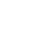 フレイムキャノン