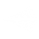 ディバインピアス