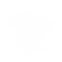 ランスストライク