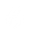 ホーリースウォーム