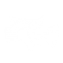 ファイアイジェクション