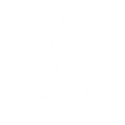 フレイムショット