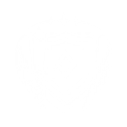 秘伝妖精術：乱打