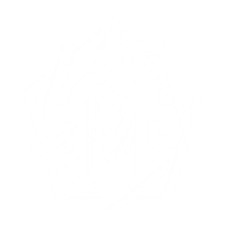 ライトニングブレイド