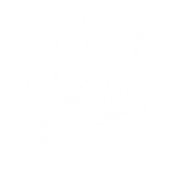 デュアルアイスカット